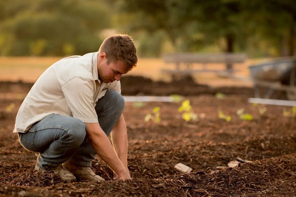 Farm Soil Degradation — and Restoration