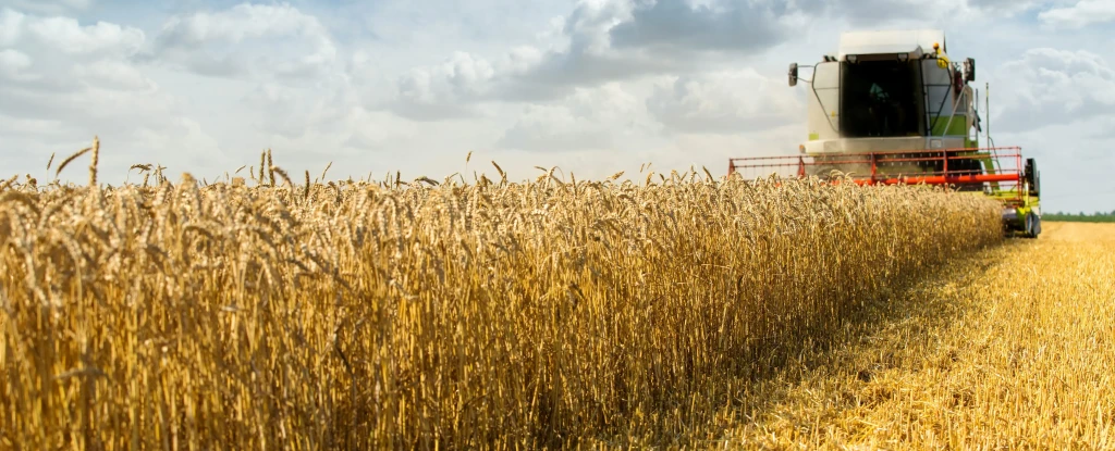 El Nino Effects on Farming